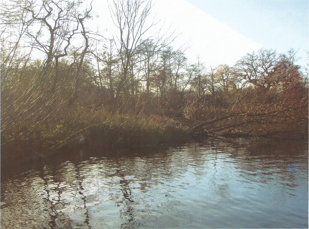 The site of the wreck today at Salhouse Broad