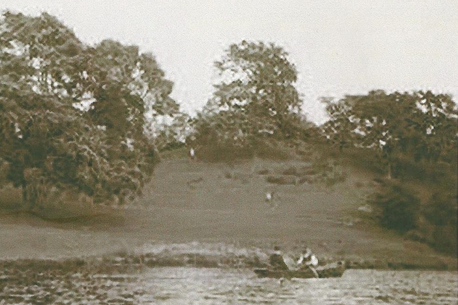View of the hill at Salhouse Broad 1903
